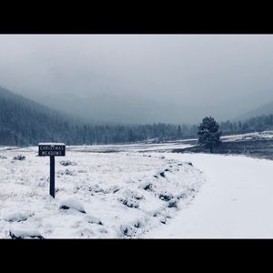 Meet your Posher, Celeste